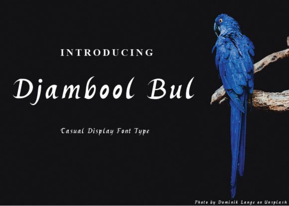 Djambool Bul: A Display Font That Breathes Easy